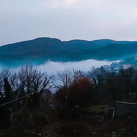 Evridiki