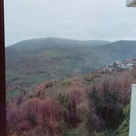 Отель Evridiki 3*