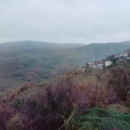 Отель Evridiki 3*