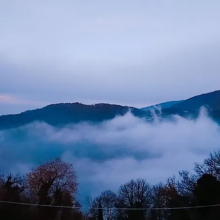 Отель Evridiki 3*